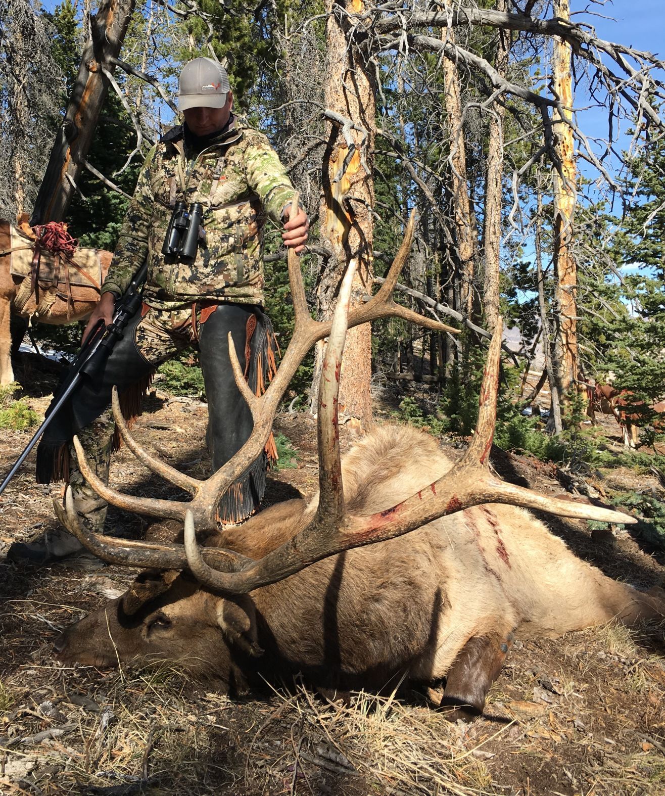 Guy Eastman with bull elk